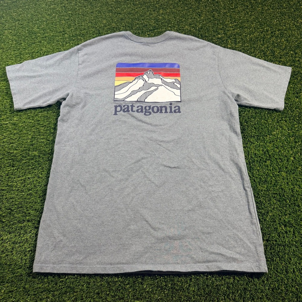 Patagonia Mens Responsibili-Tee Pocket T-Shirt Gray Blue Fitz Roy Graphic Small
